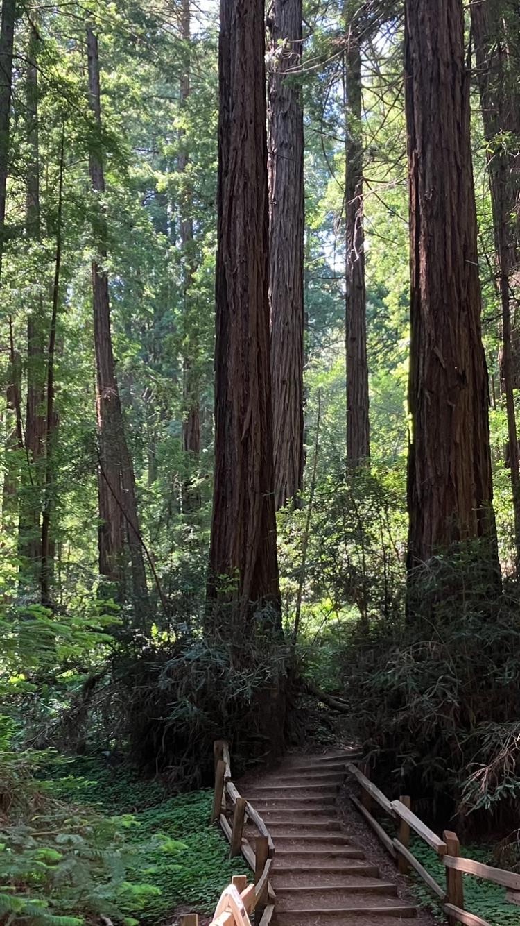 Online therapy Washington State