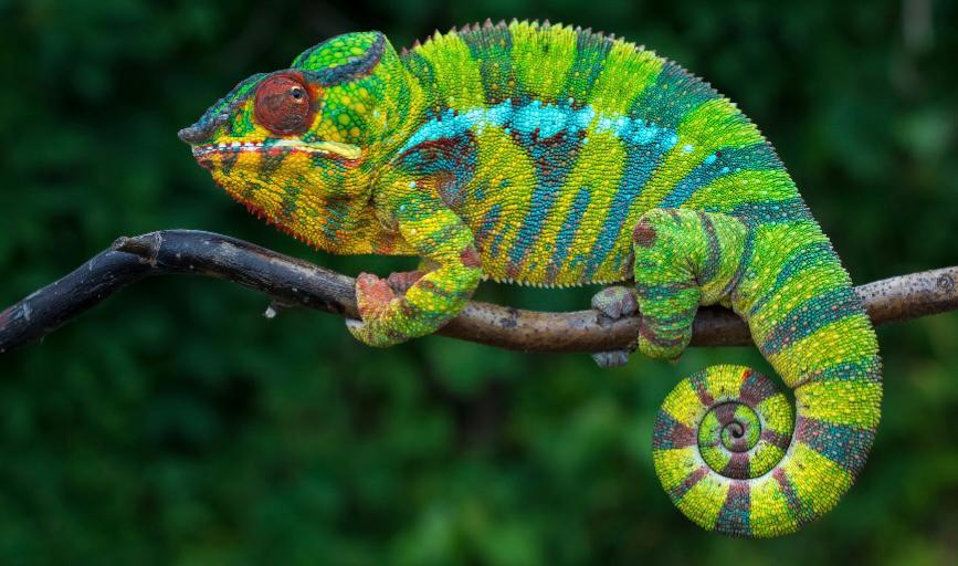 clinical psychologist Washington State