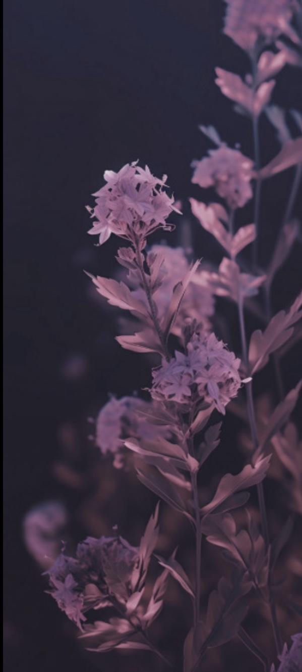 clinical psychologist Washington State